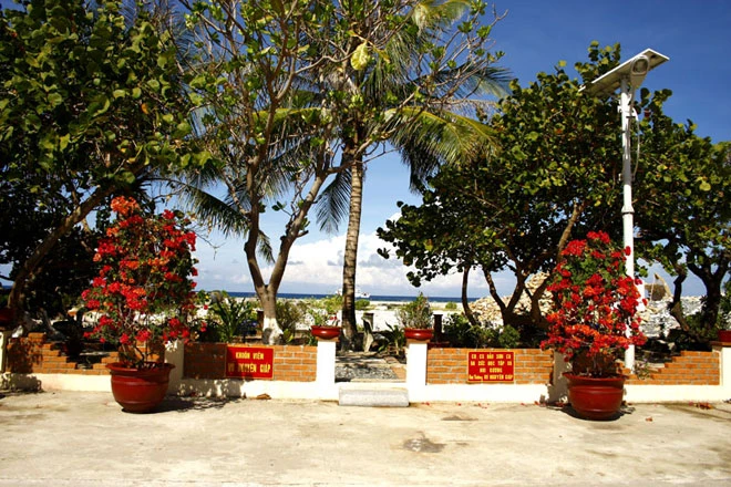 Bãi san hô không có sức sống ngày nào đã thành vườn hoa xanh tươi.