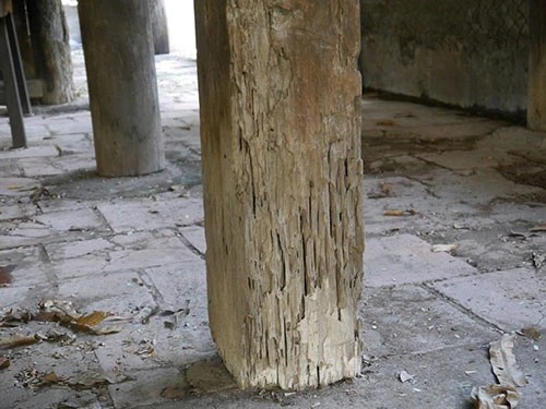 Đình cổ Sài Gòn xập xệ chờ 'chết' ảnh 4