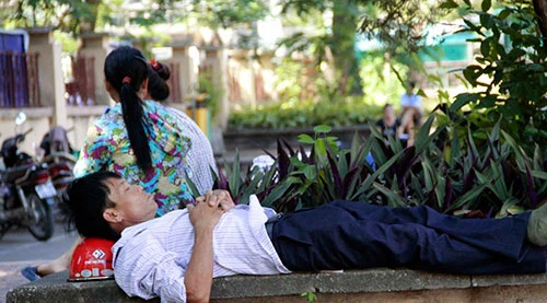 Đưa con đi thi, phụ huynh chật vật tìm chỗ trốn cái nắng 40 độ ảnh 10