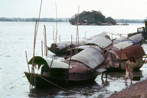 Bí ẩn Cù lao ‘biến mất’ trên sông Đồng Nai ảnh 1