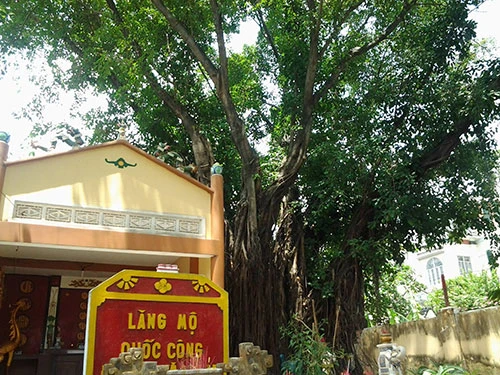 Linh thiêng 'nghĩa trang liệt sĩ' đầu tiên ở Biên Hòa ảnh 7