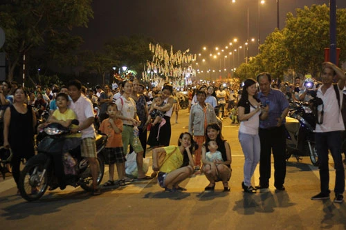 TP.HCM: Người dân háo hức xem pháo hoa ảnh 9