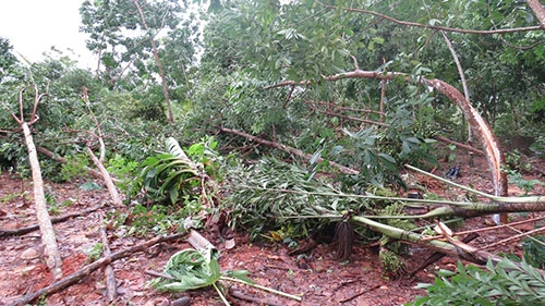 Quảng Bình: Lốc xoáy làm 54 ngôi nhà bị tốc mái ảnh 2