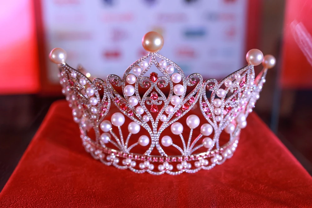 'HH Hoàn vũ Việt Nam 2015' nhận chưa đến 10 đơn thư tố cáo ảnh 3