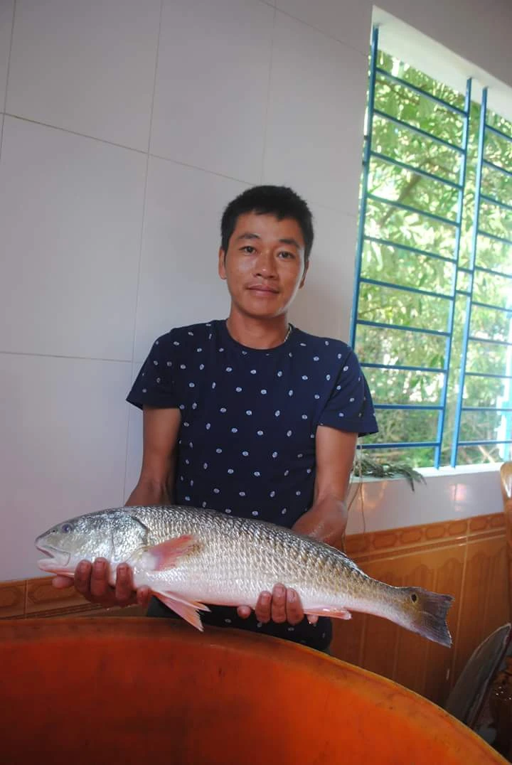 ngư dân, bắt được, cá sủ vàng, cá hô, đổi đời, tiền tỷ, thủy quái, cá khủng, ngư-dân, bắt-được, cá-sủ-vàng, cá-hô, đổi-đời, tiền-tỷ, thủy-quái, cá-khủng,