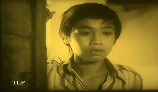 Lý Hùng, Diễm Hương, Việt Trinh