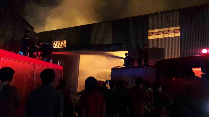 Cháy kho mì thiệt hại gần 20 tỉ đồng ảnh 1