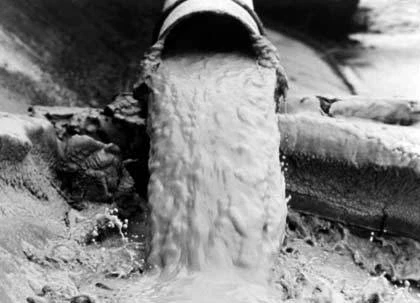 Cá chết ở miền Trung: Giật mình sự kiện khủng khiếp vịnh Minamata ảnh 2