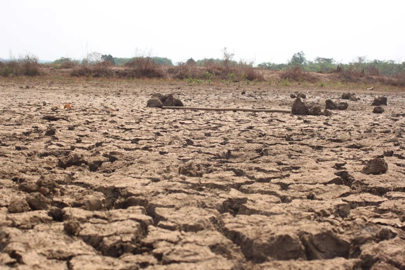 Bình Phước thiệt hại hơn 670 tỉ đồng do khô hạn kéo dài ảnh 1