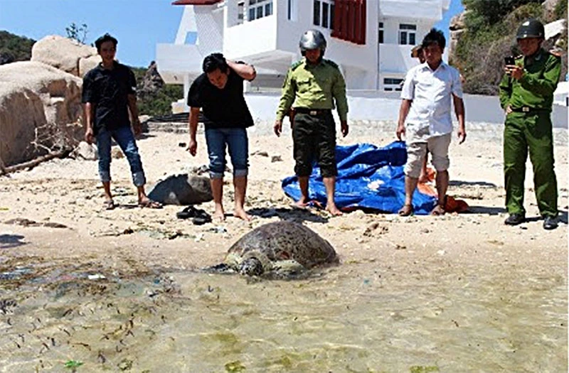 Một cán bộ Vườn quốc gia Núi Chúa bị đâm thiệt mạng ảnh 1