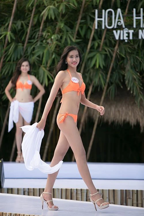 Nguyễn Thị Thùy Trang