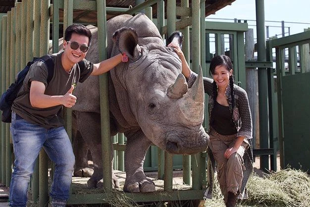 MC Phan Anh xuống tóc, vì sao? ảnh 6 Hai ca sĩ Hồng Nhung, Hà Anh Tuấn kêu gọi bảo vệ loài động vật hoang dã tê giác. Ảnh TTO