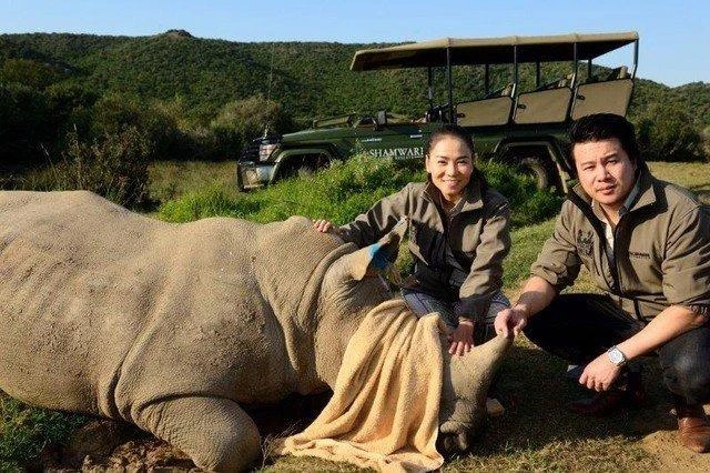 MC Phan Anh xuống tóc, vì sao? ảnh 5 Hai ca sĩ Thu Minh, Thanh Bùi kêu gọi bảo vệ loài động vật hoang dã tê giác. Ảnh TTO