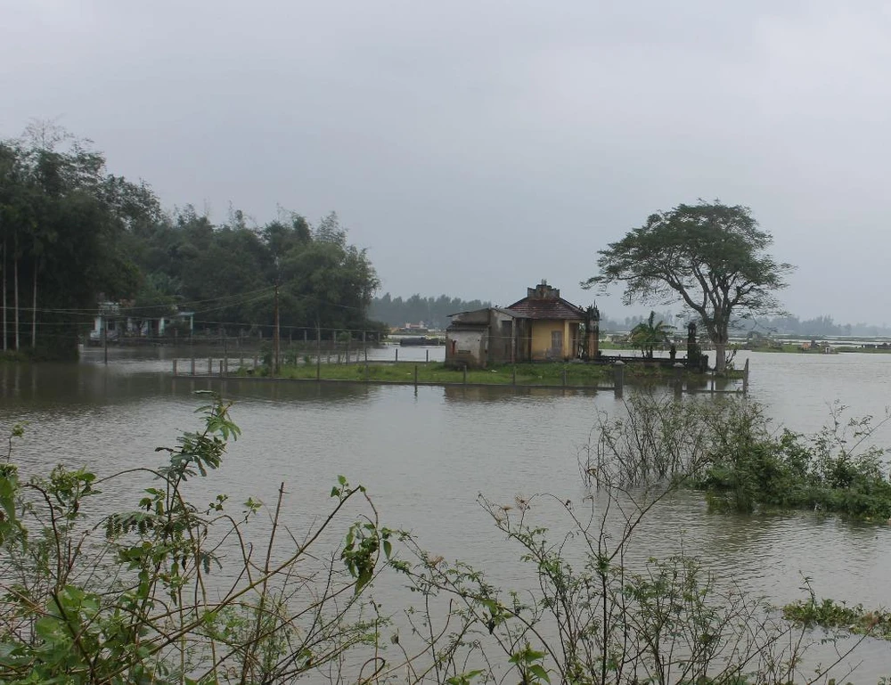 Nhiều khu dân cư xã Nghĩa Thương, huyện Tư Nghĩa bị cô lập chia cắt