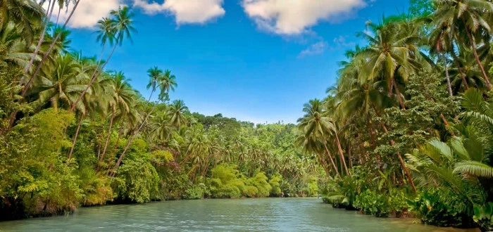 an tuong voi nhung buc anh hiem ve rung ram amazon hinh 12