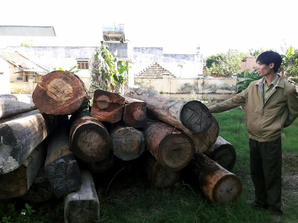 Vụ bè gỗ trôi sông: Chủ bãi tập kết là con lãnh đạo? ảnh 4