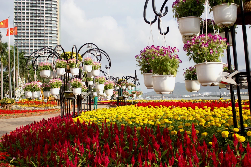 Đà Nẵng rực rỡ sẵn sàng đón xuân ảnh 7