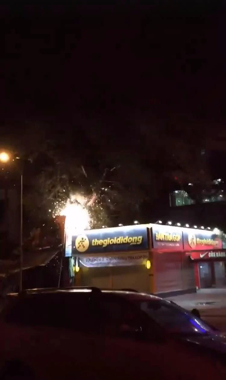 Cây cổ thụ bật gốc đè sập 2 cửa hàng điện máy ảnh 1