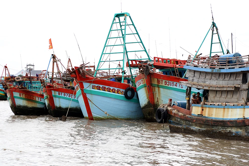 Hình ảnh người dân Cà Mau chống bão số 16 ảnh 10