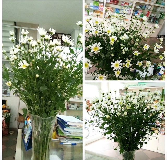 Xứ Đà tôi cũng đã có nàng họa mi ảnh 3