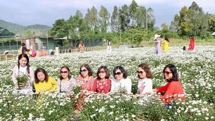 Xứ Đà tôi cũng đã có nàng họa mi ảnh 1