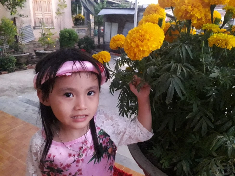 Bé bên hoa vạn thọ