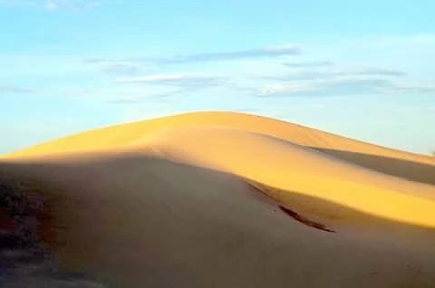 Đồi cát Nam Cương hay như cách gọi dân dã của người Ninh Thuận là “Động Nam Cương”. Ảnh: NÚI XANH