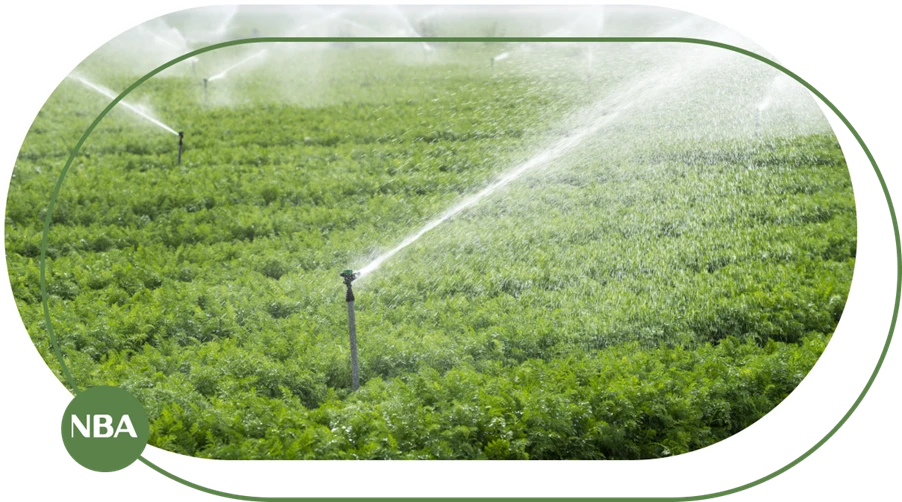 Béc tưới cây tự động - lựa chọn uy tín cho mọi doanh nghiệp.png