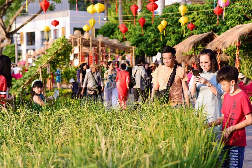 Tiểu cảnh ruộng lúc thu hút nhiều khách tham quan.JPG