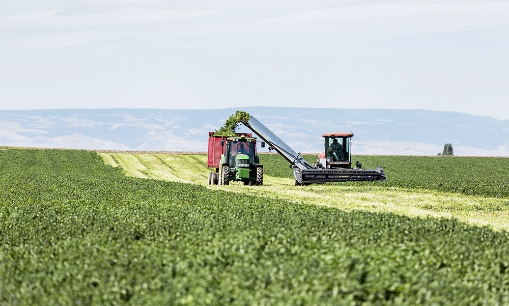 Trang trại được chứng nhận hữu cơ của Tập đoàn Amway.jpg