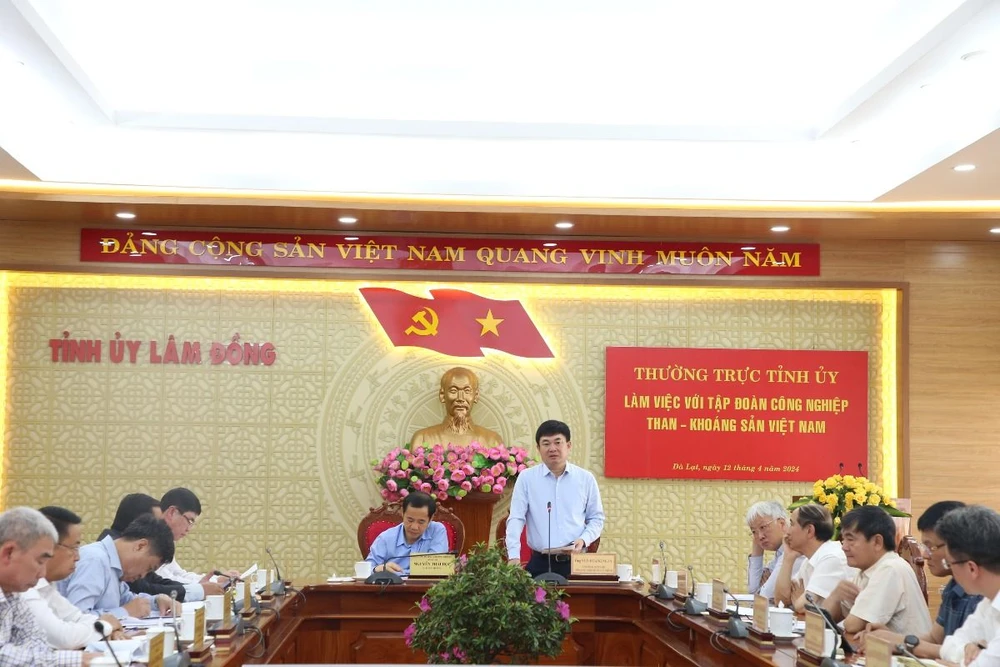 Ông Ngô Hoàng Ngân, Chủ tịch HĐTV TKV phát biểu tại cuộc làm việc với Thường trực Tỉnh ủy Lâm Đồng.JPG