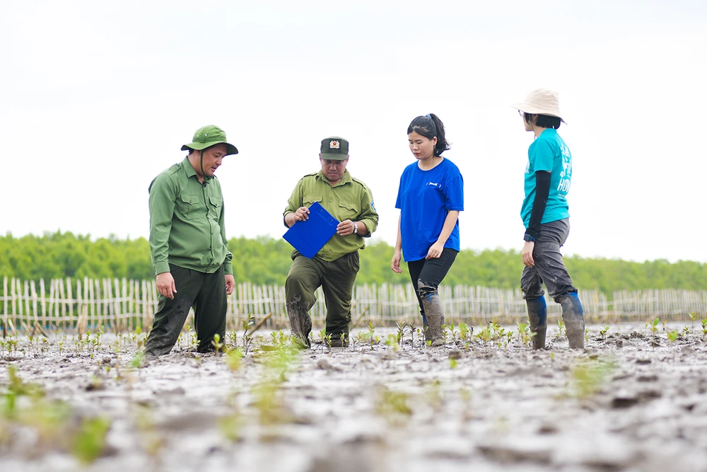 Thiên nhiên tái sinh kì diệu nơi cánh rừng Net Zero Vinamilk ở Đất Mũi.jpg