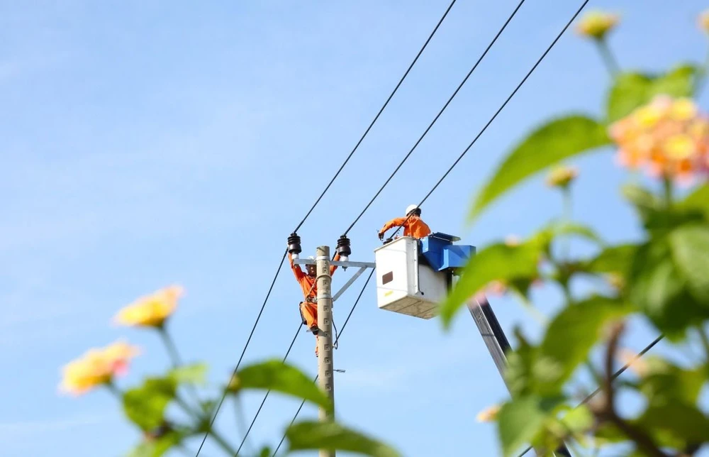 PC Đà Nẵng chủ động các phương án cấp điện dịp Lễ Quốc khánh 2-9.jpg