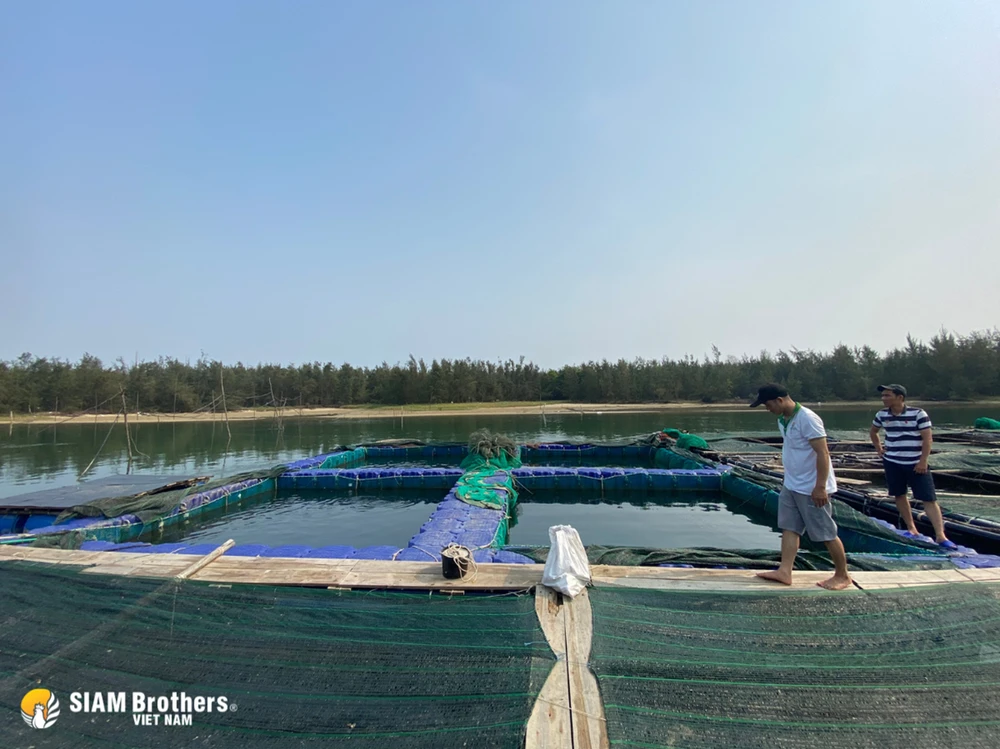 ‘Một vốn bốn lời’ khi đầu tư chuyển đổi sang phao lồng HDPE nuôi trồng thủy - hải sản.png