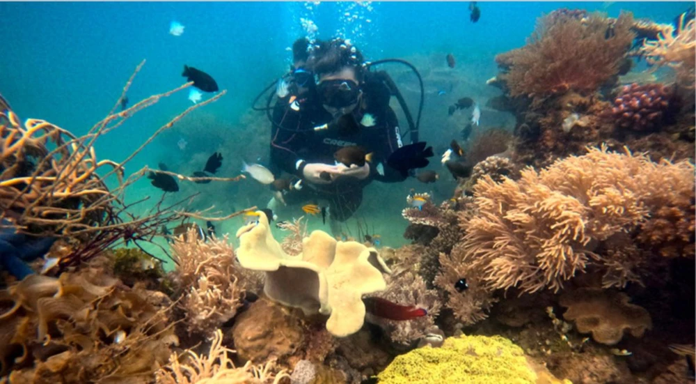 Điều gì giúp Nha Trang trở thành thiên đường nghỉ dưỡng được yêu thích nhất Châu Á?.png