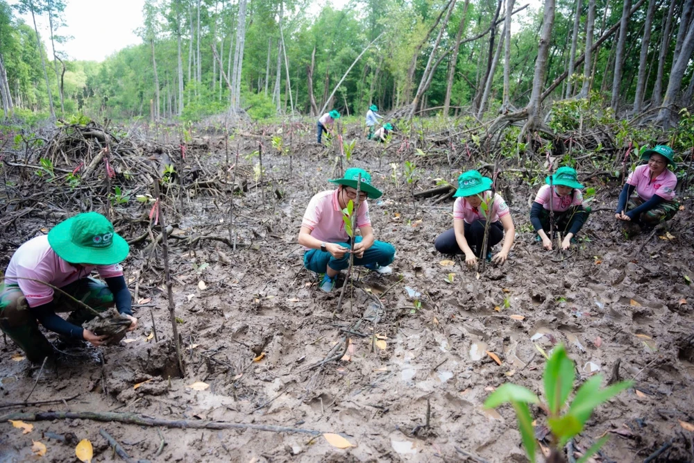 CP Việt Nam trồng 20.000 cây đước tại rừng ngập mặn Đồng Nai.JPG