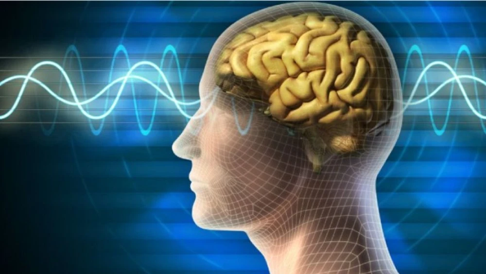 Sữa ong chúa - Nguồn dinh dưỡng dồi dào và nhiều công năng.jpg