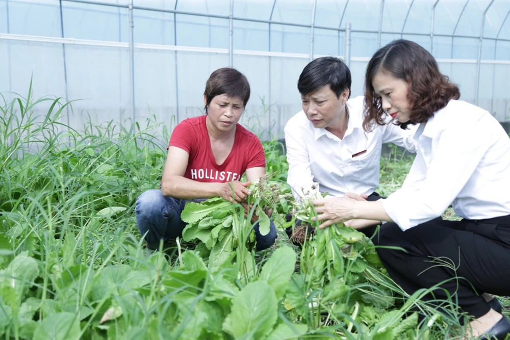 Agribank đồng hành phát triển kinh tế - xã hội địa bàn Thủ đô.jpg