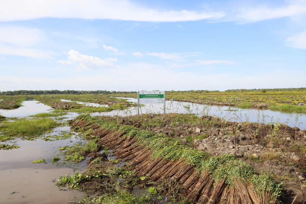 CP Việt Nam bàn giao dự án phục hồi 17 ha rừng tràm tỉnh Long An.JPG