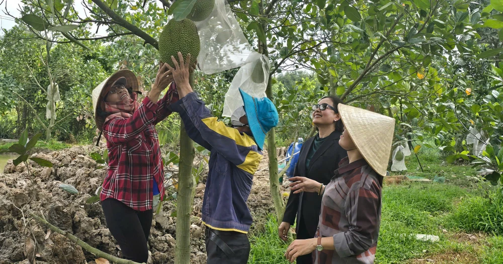 Nông dân Thủ Thừa thay đổi cuộc sống nhờ Quỹ hỗ trợ cộng đồng David Dương.jpg