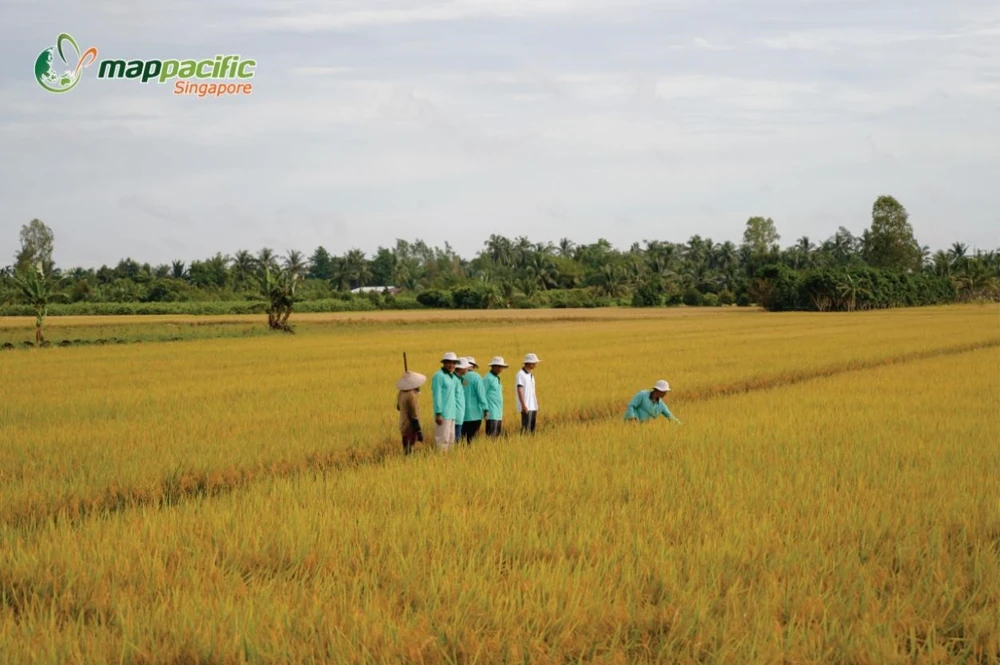map-pacific-singapore-25-nam-ben-bi-dong-hanh-cung-nong-nghiep-xanh-2.jpg