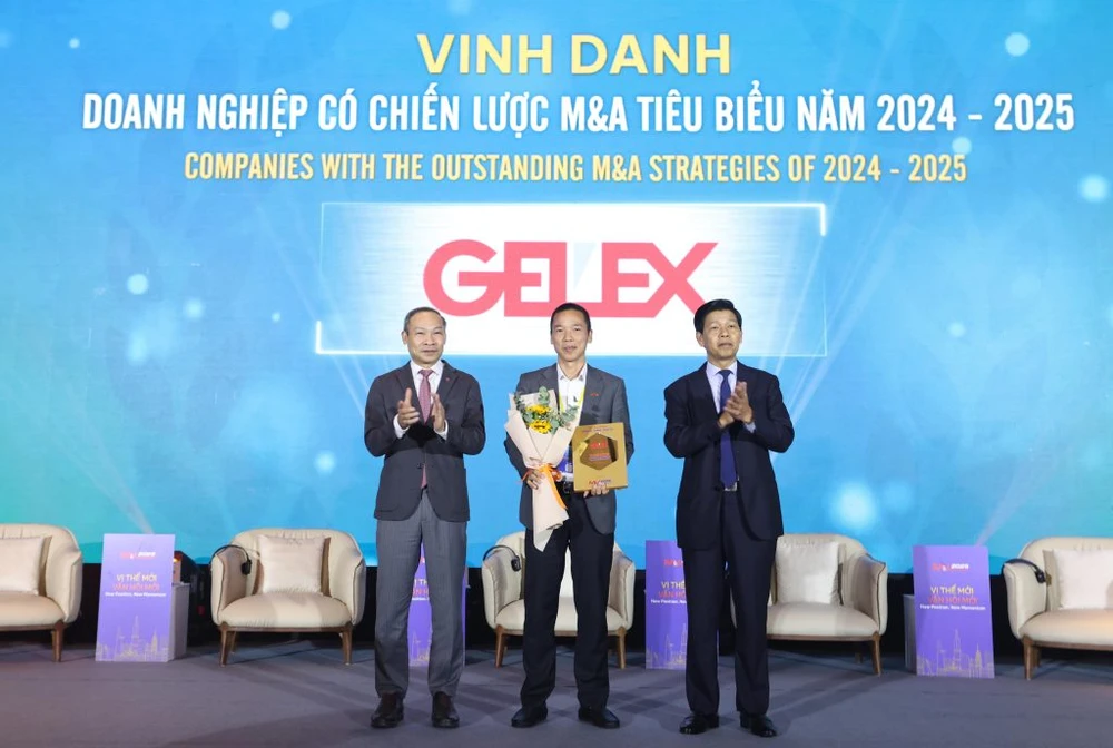 Ông Nguyễn Hoàng Long – Phó Tổng Giám đốc Tập đoàn GELEX đại diện nhận vinh danh Doanh nghiệp có chiến lược M&amp;A tiêu biểu 2024-2025.