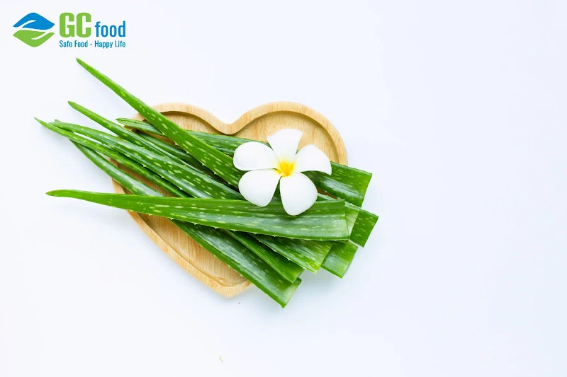 Nha đam tươi chứa nhiều vitamin và dưỡng chất tốt cho sức khỏe.