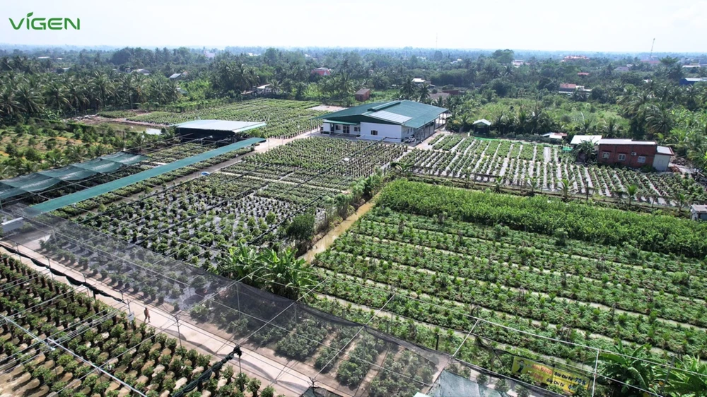 vigen-trung-tam-nghien-cuu-va-san-xuat-cay-giong-cong-nghe-cao-trong-diem.jpg