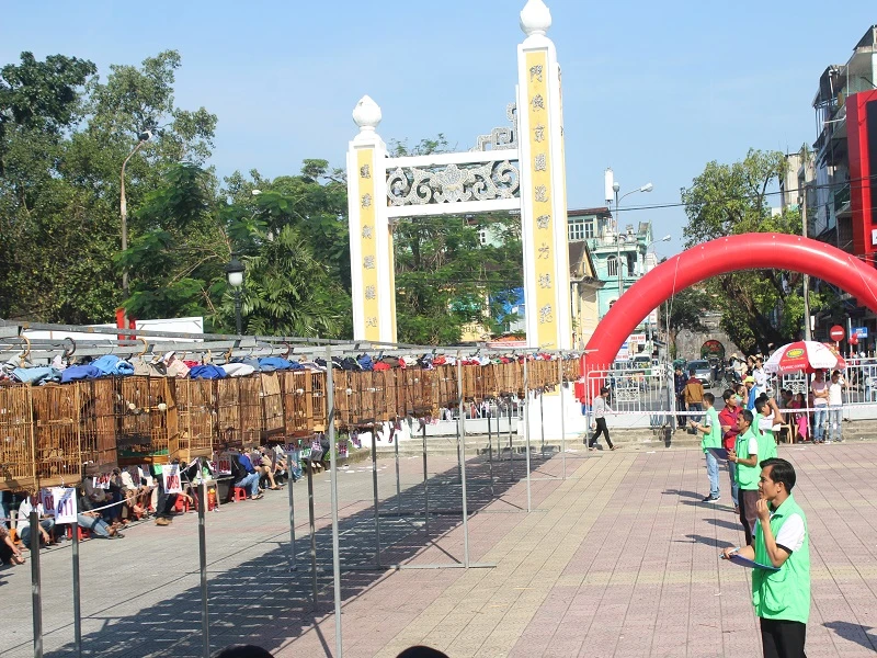 Ở các vòng loại, tổ trọng tài được chia ra chấm điểm độc lập để loại những chú chim yếu hơn.