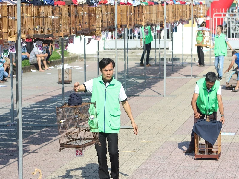 Những chú chim bị loại được ban tổ chức đưa ra phía sau cánh gà để người chủ đến nhận lại.