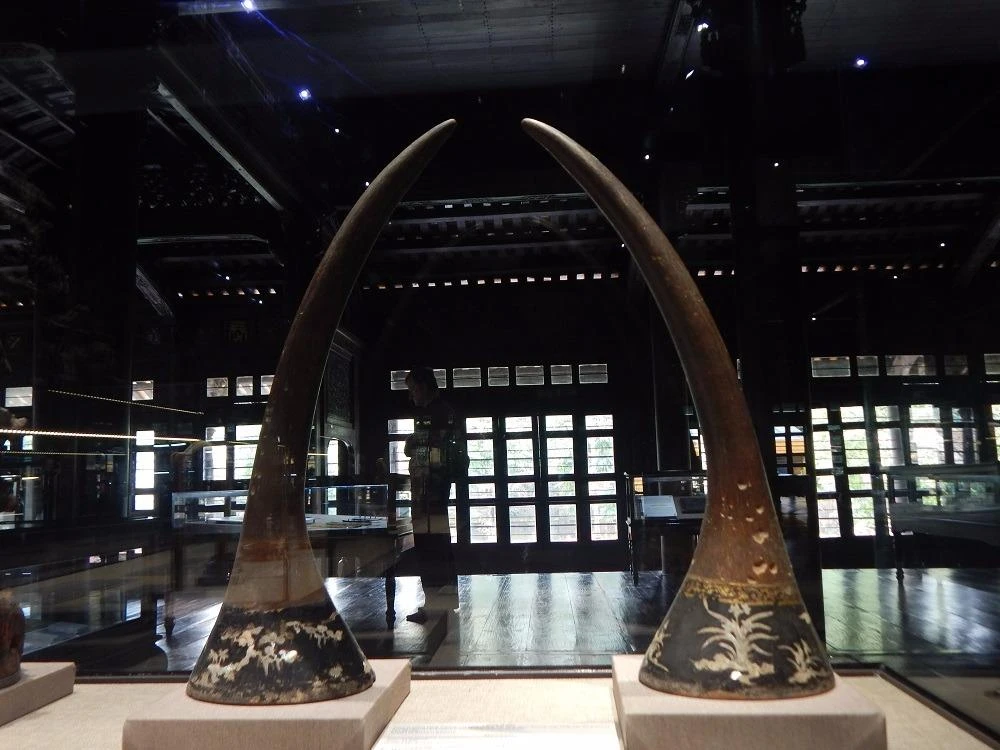 sừng tê giác ở Đàng Trong