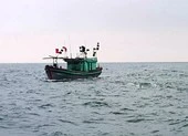 Tìm kiếm 2 ngư dân ngã xuống biển mất tích