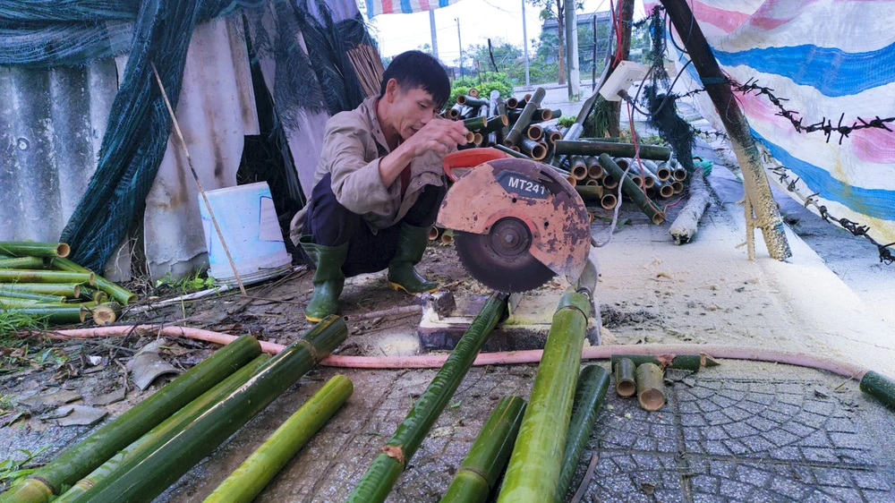 Nông dân Huế đội mưa rét chăm sóc hoa Tết ảnh 9