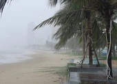 Đà Nẵng họp khẩn ứng phó bão số 6, lên phương án sơ tán dân